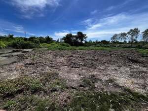 ขายและให้เช่าที่ดินเปล่าถมแล้ว ขายและให้เช่าที่ดินเปล่าถมแล้ว