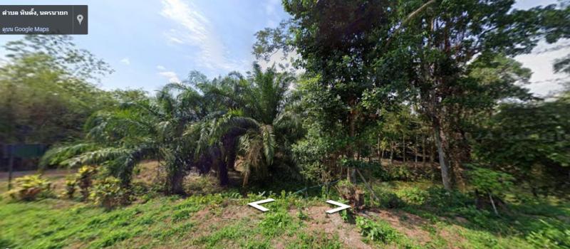 ขายที่ดินสวนผลไม้ เงาะ ทุเรียน มุงคุด 5ไร่ บ.ท่าชัย จ.นครนายก