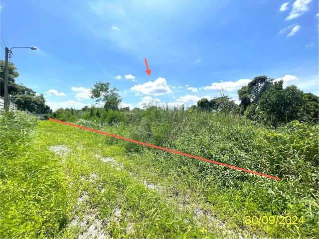 ขายที่ดินว่างเปล่า ซ.ไทรม้า 17 ถ.ไทรม้า ตำบลไทรม้า อำเภอเมืองนนทบุรี จ.นนทบุรี