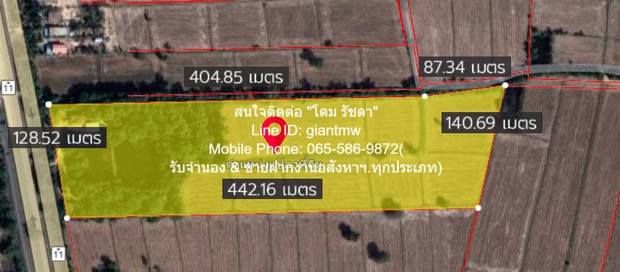 พื้นที่ดิน //ปรับลดราคา//ขายที่ดิน พร้อมสิ่งปลูกสร้างติดทางหลวงหมายเลข 11 (อ.วังทอง จ.พิษณุโลก) 36-3-99.7 ไร่, ราคา 25,159,490 บาท  25159490 บาท  36 RAI 3 ngan 99 ตร.วา ใกล้ ตลาดวังทอง และสามแยกวังทอง ประมาณ 18 กม. VERY GOOD