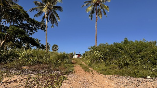 เงื่อนไขซื้อขายสิ่งสำคัญ  ที่ติดทะเล 2.5 ลบ./ไร่ ฝั่งแดง ผาแดง หายาก ประจวบ บางสะพานน้อย สวยมากแปลงนี้ ขายถูกสุดในย่านนี้ ไร่ละ 2.5 ล้านบาท 