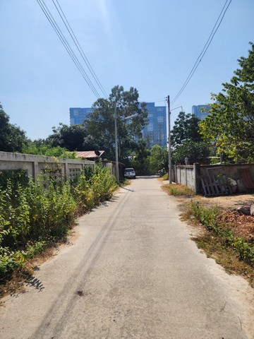 ขายที่ดินเปล่าใกล้ชายหาดชะอำ เพชรบุรี เนื้อที่130 ตรว.