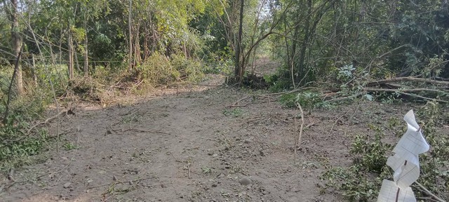 ทำเลเงื่อนไขซื้อขายสิ่งสำคัญ ขายที่สวยติดทางหลวง1107 บ้านตาก จ.ตาก คมนาคมสะดวก ไร่ละ 300000 ต.ตากตก อ.บ้านตาก  จ.ตาก  0837124115