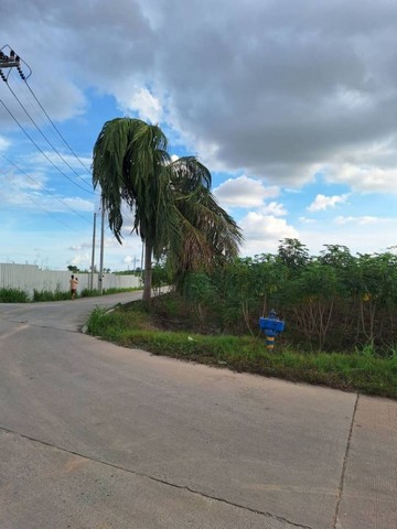 ขายที่ดินศรีราชา บ่อวิน ทำเลดี ติดนิคม WHA1 ชลบุรี FP-L0800