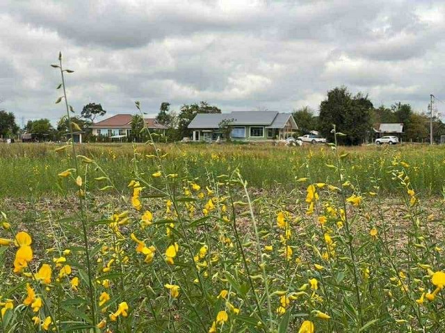 ขายที่ดิน ติดถนนมิตรภาพอุดรธานี ขอนแก่น ขนาดพื้นที่ 21ไร่ 3 งาน 73 ตารางวา ขาเข้าเมืองอุดรธานี