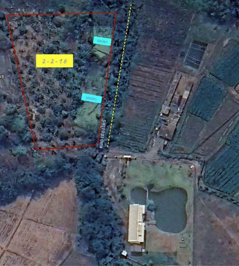 ราคาพิเศษ 3.9 ล.เท่านั้น! 2 ไร่ 2 งาน 16 ตรว. #ดอยสะเก็ด ขายสวนผลไม้ #วิวภูเขาอลังการ ชีวิตสโลว์ไลฟ์ ท่ามกลางธรรมชาติ กับที่ดินขนาดใหญ่