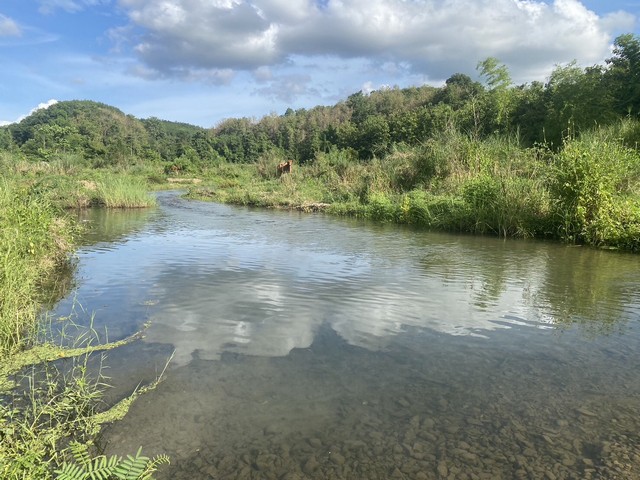 ทำเลเงื่อนไขซื้อขายสิ่งสำคัญ ขายที่ดินติดลำธารน้ำใสไหลริน ชุ่มฉ่ำตลอดปี สวยวิวล้าน 800000บาท 3-0-35ไร่ อำเภอสันติสุข น่าน