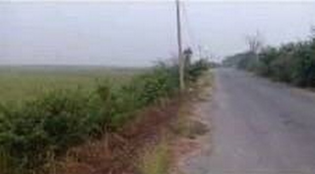 ทำเลเงื่อนไขซื้อขายสิ่งสำคัญ ขายที่ดิน 4ไร่เศษ ติดถนนคอนกรีต ต.มหาราช อ.มหาราช จ.อยุธยา