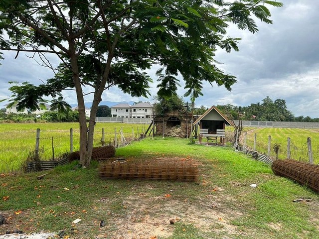 ที่ดินวิวทุ่งนาสวย บรรยากาสดี ผังสีเหลือง โซนสันทราย 