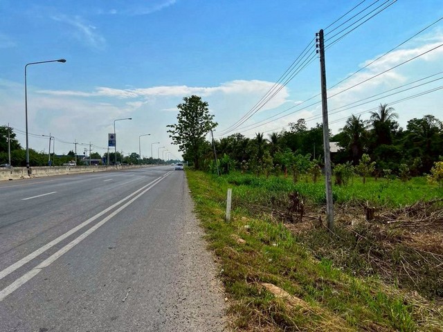 ที่ดินแปลงสวย ราคาต่ำกว่าท้องตลาด ขายยกแปลง สันป่าตอง 