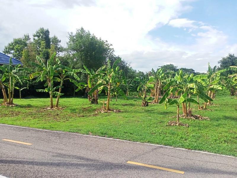 ขายที่ดินปล่าว.สวย เนื้อที่ 2.63ไร่  ตำบลเหมืองง่า.  อำเภอ เมืองลำพูน  จังหวัด ลำพูน  รูปแปลงเป็นสี่เหลี่ยมผืนผ้าสวย ตัดหน้า 40เมตรลึก80เมตร