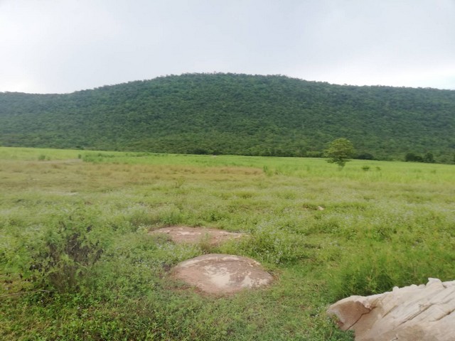 อสังหาเลือกดูจับจองได้ ขายที่ดินสวยติดภูเขา เทือกเขายาวเรียงแนว ดินดีสมบูรณ์ทรัพย์ในดิน ฟ้าใสวิวหลักล้าน ต.นาจาน อ.สีชมพู จ.ขอนแก่น 