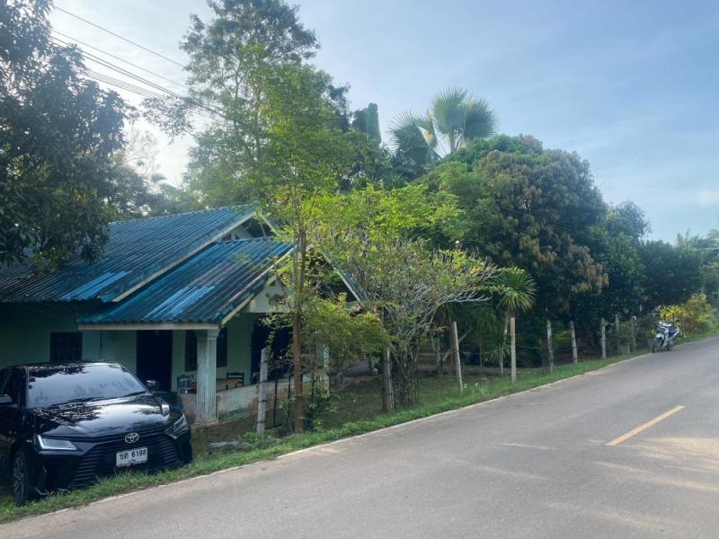 ขาย บ้านเดี่ยว ราคาลดลง เหลือเพียง 3,000,000 บาท (ราคาก่อนหน้า 4.2 ล้านบาท)