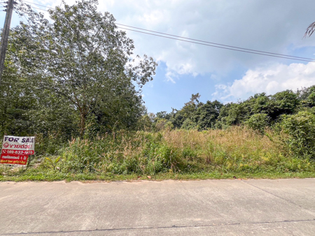 ที่ดินพร้อมสร้าง ติดถนนคอนกรีต ไฟฟ้า น้ำครบ ราคาพิเศษ 3.7 ล้าน ที่ดินสมุย 1 ไร่ ใกล้ทางหลวง 4170 โอกาสสร้างกำไร ตลิ่งงาม เกาะสมุย ที่ดินสมุย