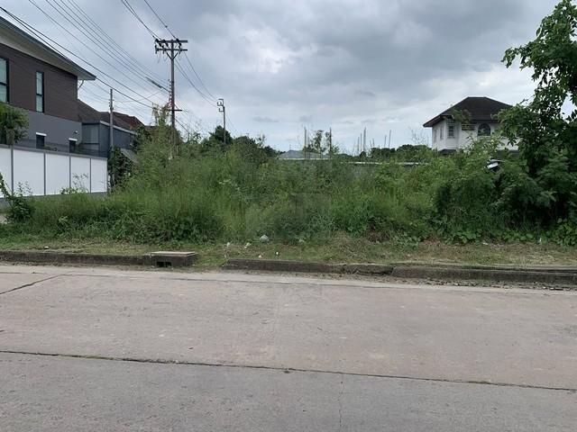 ขายที่ดินถมแล้ว 487 ตรว. ติดถนน 3 ด้าน ในหมู่บ้านศรีนคร ซ.นวมินทร์ 24 เขตบึงกุ่ม