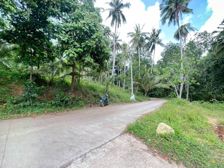 Investment Opportunity 5392 sqm Land Near Lipa Noi Beach Koh Samui Freehold Land Available in Koh Samui  Ideal for Resort or Private Villa