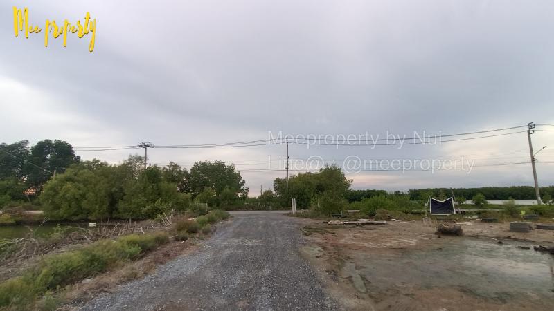 ปล่อยเช่าที่ดินถมแล้ว หลัง มจธ.บางขุนเทียน เนื้อที่ 2 ไร่ 27 ตร.ว. สามารถเปิดร้านกาแฟ ร้านอาหาร ที่พัก บ่อตกปลา  ME-204