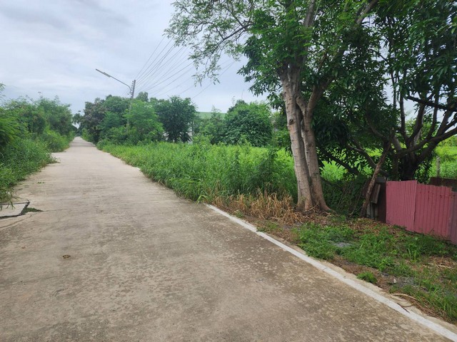 ที่ดิน - ไม่ไกลจาก ตลาดไท วัดธรรมกาย ร้านพี่ยาคนรุม 1300000 -  102 ตร.วา N I C E! ปทุมธานี