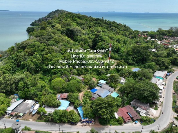 ที่ดิน ขายที่ดินสวนป่า บนเนินไหล่เขา วิวทะเล (Seaview) เกาะสิเหร่ ภูเก็ต 5-0-48.7 ไร่ (ห่างชายทะเล 100 ม.), ราคา 76,826,250 บาท (15 ล้านบาท/ไร่) 57 ตาราง.วา 1 ngan 2 Rai  ใกล้กับ ห่างเทศบาลเมืองภูเก็ต ประมาณ 7 กม. เดินทางสดวกสบาย ภูเก็ต   