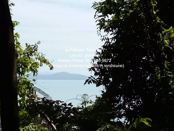 ที่ดิน ขายที่ดินสวนป่า บนเนินไหล่เขา วิวทะเล (Seaview) เกาะสิเหร่ ภูเก็ต 5-0-48.7 ไร่ (ห่างชายทะเล 100 ม.), ราคา 76,826,250 บาท (15 ล้านบาท/ไร่) 57 ตาราง.วา 1 ngan 2 Rai  ใกล้กับ ห่างเทศบาลเมืองภูเก็ต ประมาณ 7 กม. เดินทางสดวกสบาย ภูเก็ต