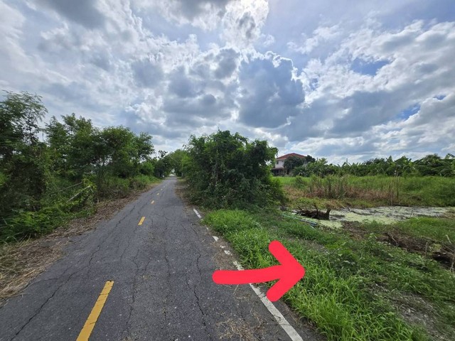 ขายที่ดิน ม.เคหะการเกษตร 2 ซอย36  อ.ไทรน้อย จ.นนทบุรี 100 ตารางวา