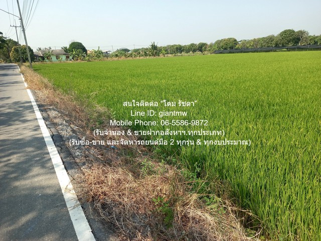 ขายที่ดินทุ่งนา อ.นครชัยศรี นครปฐม 8-0-76 ไร่ ราคา 24,570,000 บาท