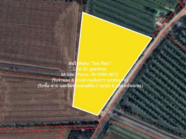 ขายที่ดินทางการเกษตร (ต้นดอกรัก) อ.นครชัยศรี นครปฐม 4-1-67 ไร่ ราคา 8,835,000 บาท 