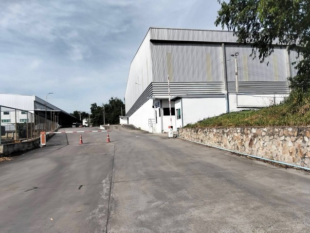 ให้เช่าโกดังศรีราชาชลบุรี ให้เช่าโกดังขนาด 3,000 ตรม.  ผังสีเหลืองอยู่ใน free zone