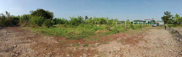 ขายที่ดินเปล่า 286 ตร.ว. เหมาะกับการลงทุนธุรกิจร้านคาเฟ่ ร้านอาหารแนวธรรมชาติ หรือที่อยู่อาศัยหลังที่ 2 กระทุ่มแบน จ.สมุทรสาคร