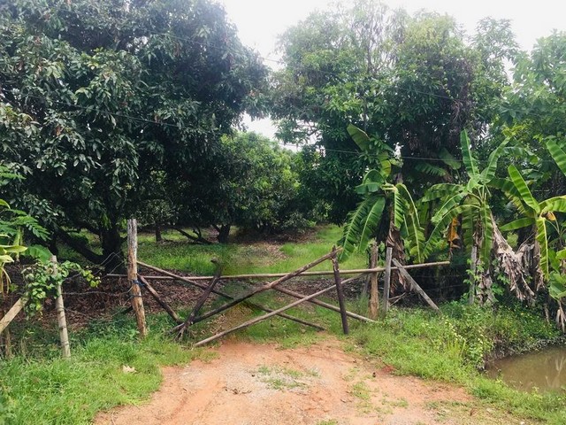 ที่ดินแปลงสวย วิวดอยสุเทพ ใกล้ธรรมชาติ น้ำแพร่ หางดง