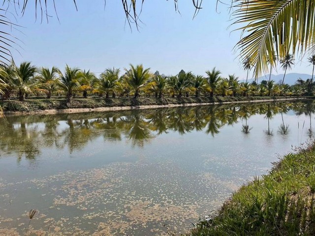 ที่ดินสวยน้ำดี ตลอดปี ใกล้เขื่อนแม่งัด บ้านกาด โซนแม่แตง