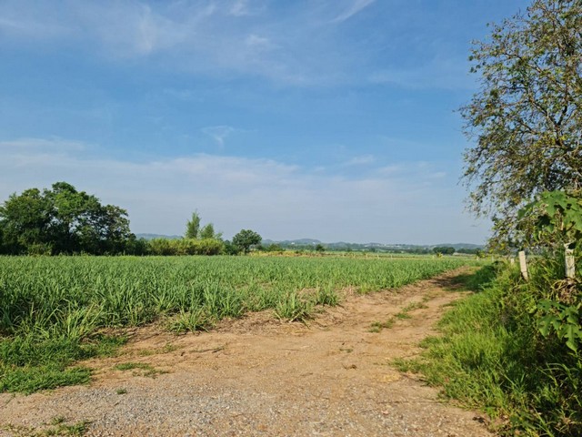 อสังหาเลือกดูจับจองได้ ขายที่ดินปากช่อง 2ไร่- 8ไร่ โฉนด ต.วังไทร อ.ปากช่อง จ.นครราชสีมา ไร่ละ  2.9 ลบ.สูงจากระดับน้ำทะเลมา น้ำไฟพร้อม