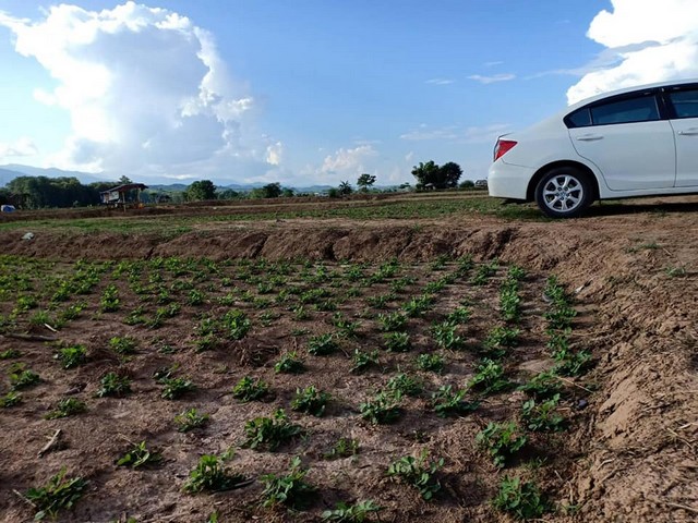 อสังหาเลือกดูจับจองได้ ที่สวยติดแม่น้ำน่าน น้ำใสไหลรินตลอดปี  ต.ศรีภูมิ อ.ท่าวังผา จ.น่าน ขาย 800000  วิวดีสวยมาก 0968821857