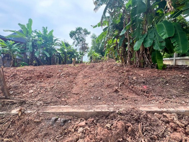 ที่ดิน แปลงสวย ถมแล้ว แปลงมุม ใกล้ทะเล อำเภอแกลง จังหวัดระยอง หาดแหลมแม่พิมพ์ ความสะดวกครบครัน