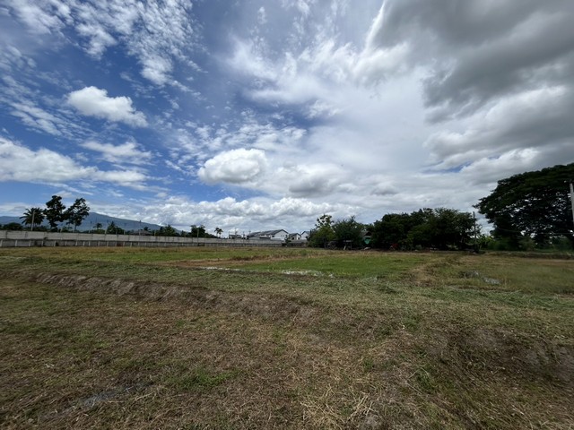 ที่ดินสวย 4 ไร่ 1 งาน 38 ตรว. บ้านแหวน หางดง เชียงใหม่