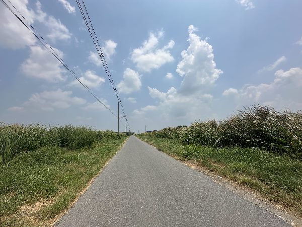 ขายที่ดินเปล่า 1 ไร่ รังสิตคลอง 2   แปลงสี่เหลี่ยมสวย เหมาะแก่การสร้างบ้านอยู่อาศัย ทำเป็นหอพักออฟฟิศ หอพัก อพาร์ทเมนท์