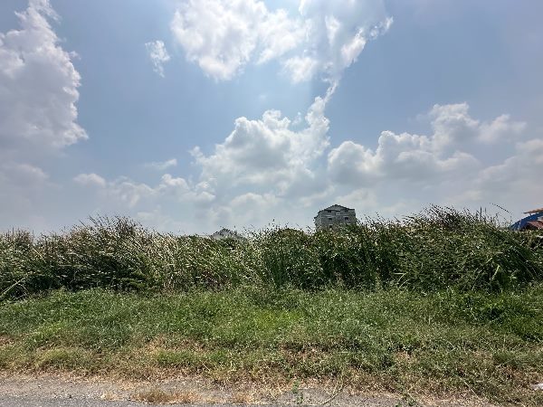 ขายที่ดินเปล่า 1 ไร่ รังสิตคลอง 2   แปลงสี่เหลี่ยมสวย เหมาะแก่การสร้างบ้านอยู่อาศัย ทำเป็นหอพักออฟฟิศ หอพัก อพาร์ทเมนท์