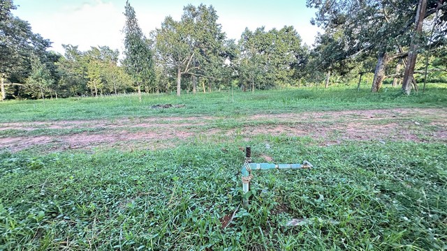 อสังหาเลือกดูจับจองได้ ขายที่ดินใกล้หาดบางเบิด ติดถนนทางหลวง ใกล้หาด1 กม. +ขนาดที่ดิน 50-1-18 ไร่ โฉนดครุฑแดง พร้อมโอน ไร่ล่ะ 8 แสน