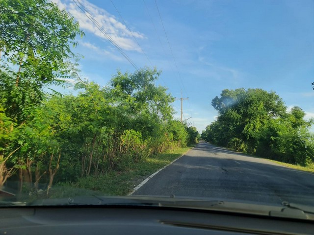 อสังหาเลือกดูจับจองได้ ขายที่ดิน 4ไร่เศษ ติดถนนคอนกรีต ต.มหาราช อ.มหาราช จ.อยุธยา