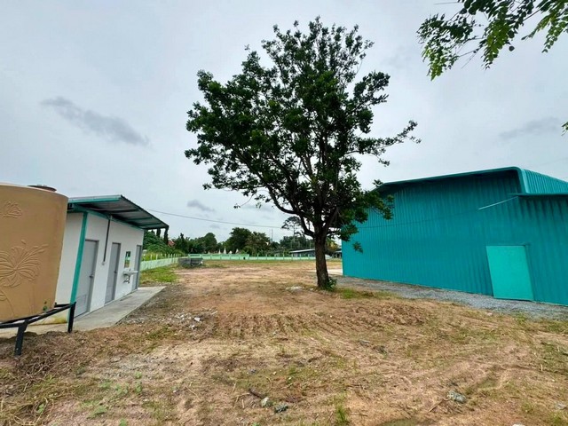 ให้เช่าโกดังสร้างใหม่ชลบุรี  ห่างจากถ.มอเตอร์เวย์สาย7ประมาณ 4 กม เนื้อที่รวม2.5ไร่  ขนาดโกดัง 367 ตรม.  อำเภอศรีราชาจังหวัดชลบุรี