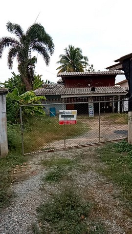 ซื้อไว้ดีมีไว้รวย อสิงห์หา บ้านเดี่ยว สิงห์บุรี116 ตาราวา  ราคากันเอง  โทร  0968821857