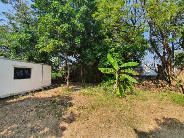 เช่าที่ดิน ตรงข้ามตลาดยิ่งเจริญ  ตลาดสะพานใหม่เช่าเดือนละ 40,000.บาท ถ้าระยะยาวลดราคาได้