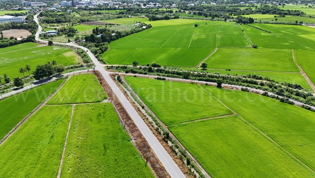 ที่ดินเปล่า 3 แปลง 22 ไร่ 66 ตารางวา สามชุก สุพรรณบุรี