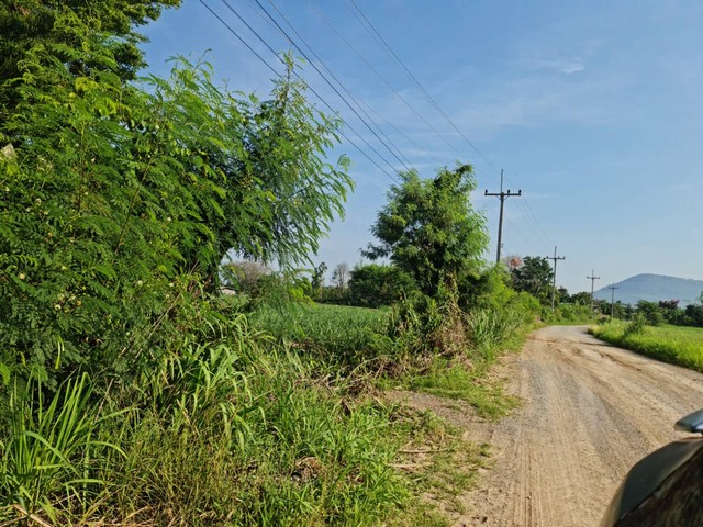 ซื้อไว้ดีมีไว้รวย อสิงห์หา ขายที่ดินปากช่อง 2ไร่- 8ไร่ โฉนด ต.วังไทร อ.ปากช่อง จ.นครราชสีมา ไร่ละ  2.9 ลบ.สูงจากระดับน้ำทะเลมา น้ำไฟพร้อม