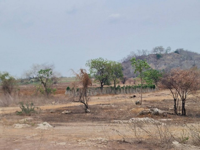 ซื้อไว้ดีมีไว้รวย อสิงห์หา ที่ดินติดภูเขา ต.พระนอน อ.เมือง จ.นครสวรรค์ วิวสวยมากๆๆ 5ไร่เศษ โทร 096-882-1857
