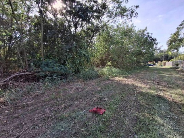 ขายที่ดินเปล่าศรีราชา บางพระ ในโครงการ หมู่บ้านปัญญารีสร์อท FP-L0851