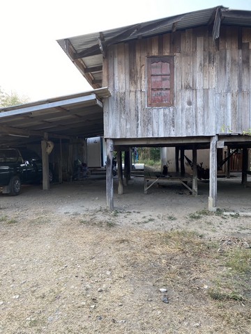 ขายที่ดินแปลงสวย ทำเลทอง ติดอมตะซิตี้ มาบยางพร ปลวกแดง ระยอง FP-L0845 