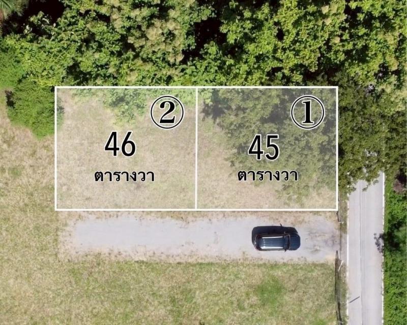 มาก่อนได้สิทธิ์เลือกก่อน! ขายที่ดินเปล่า 420,000 บาท มี 2 แปลง #ถมแล้ว พร้อมปลูกบ้านได้ทันที ทำเลดี #ติดถนน 2 ด้าน #ใกล้เทศบาลสันกำแพง 