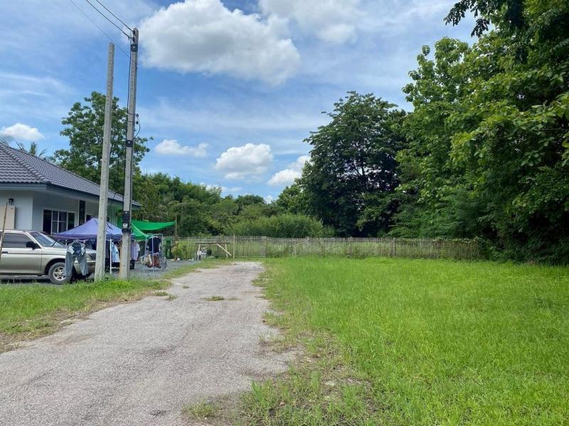 มาก่อนได้สิทธิ์เลือกก่อน! ขายที่ดินเปล่า 420,000 บาท มี 2 แปลง #ถมแล้ว พร้อมปลูกบ้านได้ทันที ทำเลดี #ติดถนน 2 ด้าน #ใกล้เทศบาลสันกำแพง