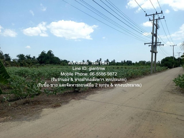 SALE ที่ดิน ขายที่ดินทางการเกษตร (ต้นดอกรัก) อ.นครชัยศรี นครปฐม 4-1-67 ไร่ ราคา 8,835,000 บาท  พื้นที่ 1767 sq.wa  ใกล้ ใกล้วัดละมุด และวัดกลางบางพระ  BIG SURPRISE!!